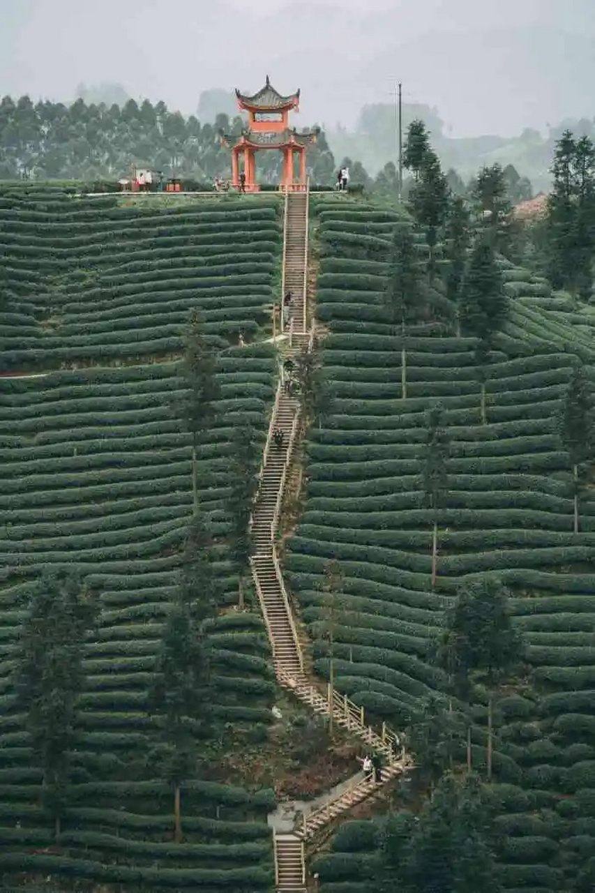 雅安市名山区牛碾坪图片