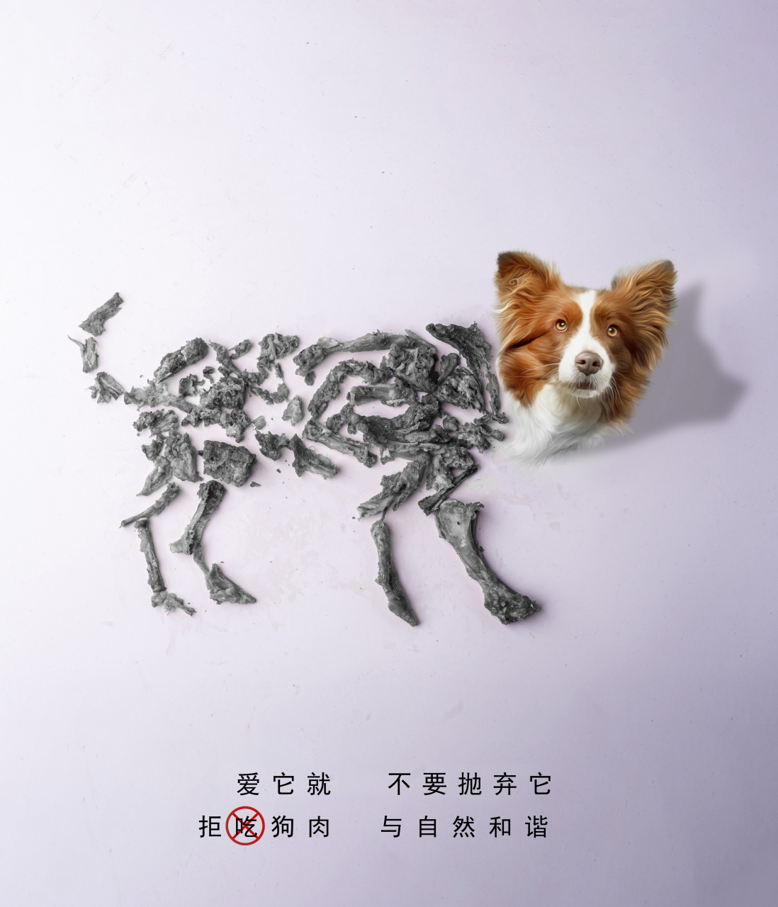 拒吃狗肉,没有买卖就没有伤害.