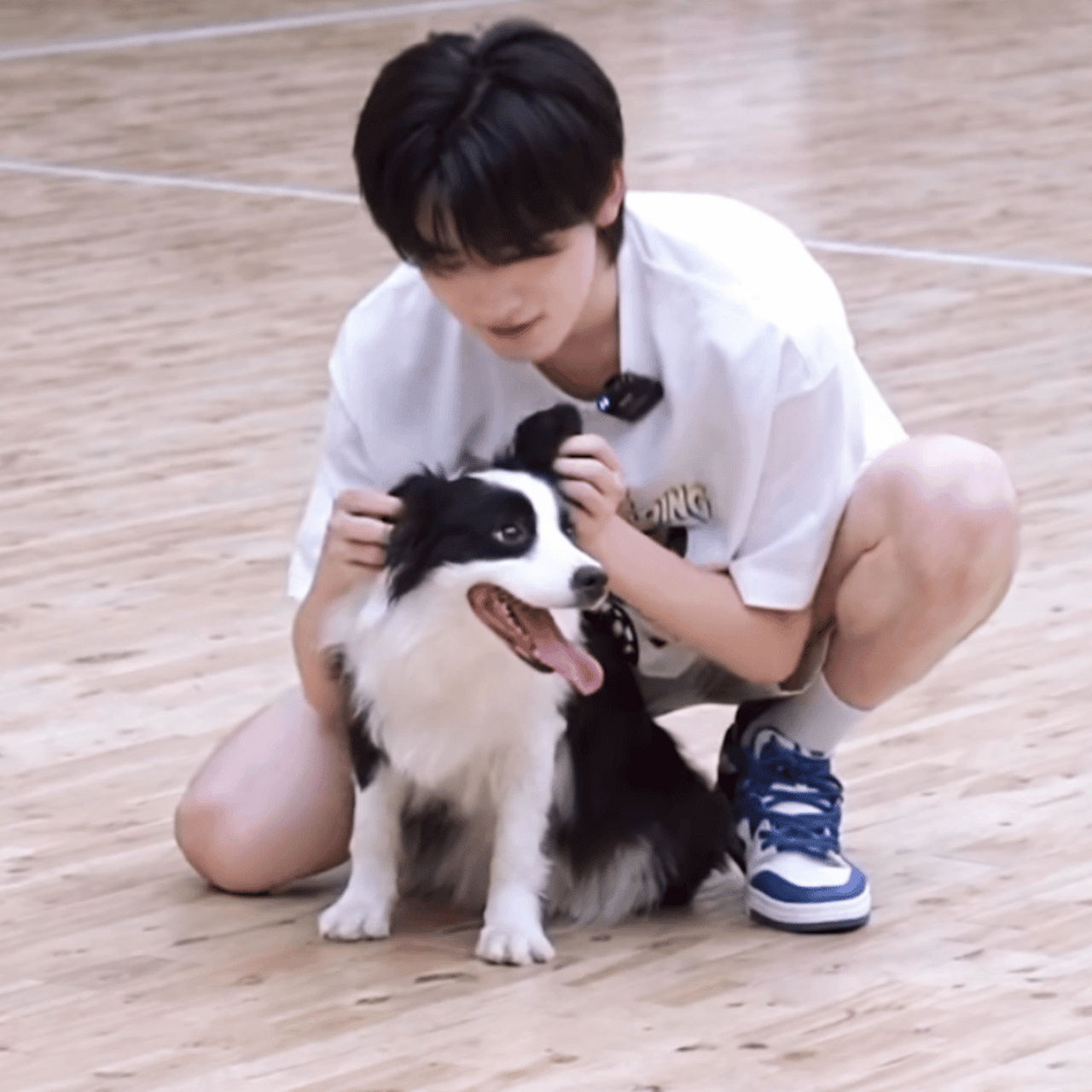 当宋亚轩和鼠标拍照时,他就成了鼠标的陪衬,看鼠标多会抢镜头啊!