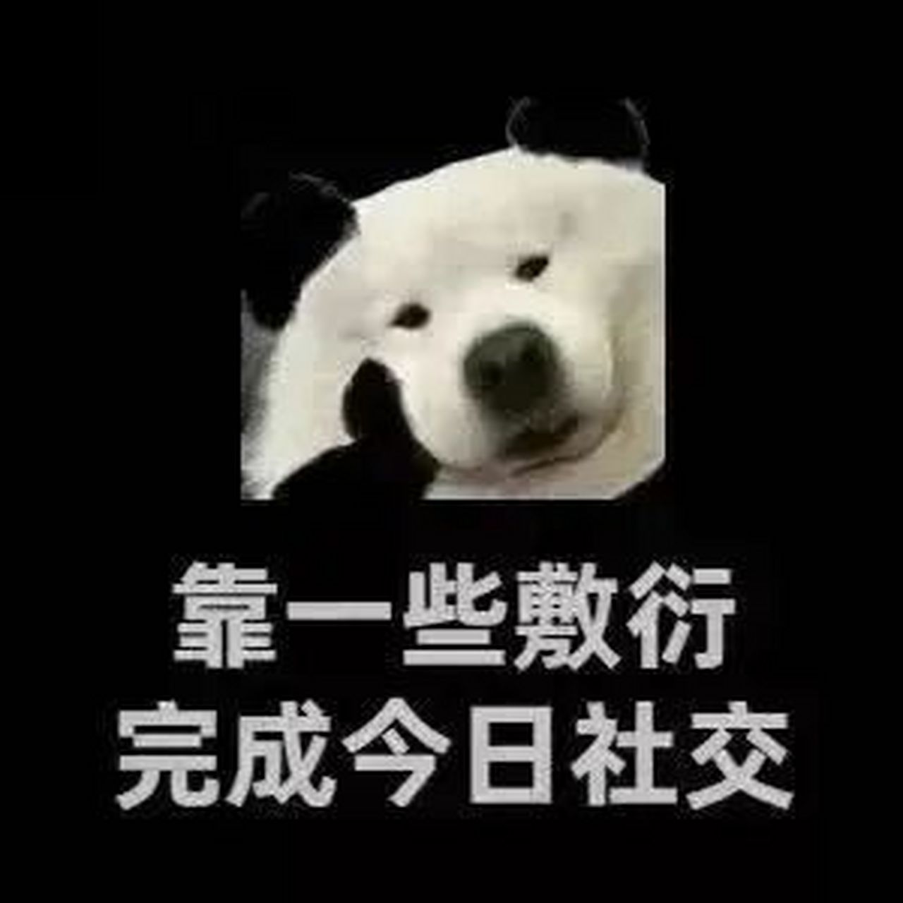 表情包# #逗你玩呢# 靠一些敷衍完成今日社交