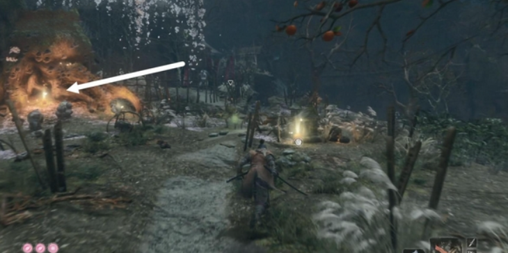 关于只狼葫芦种子的位置介绍