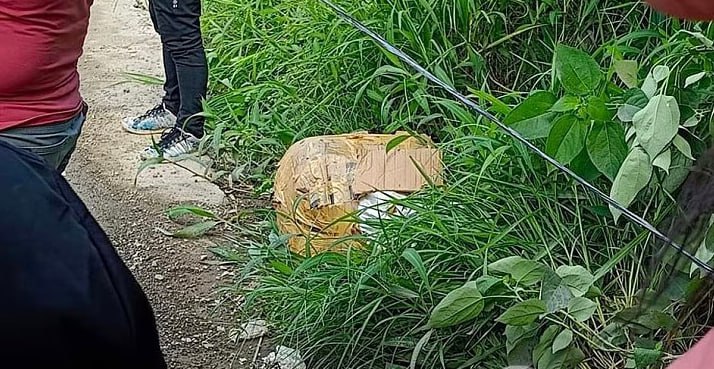 女性尸体被藏纸箱并遗弃街边 生前疑遭酷刑