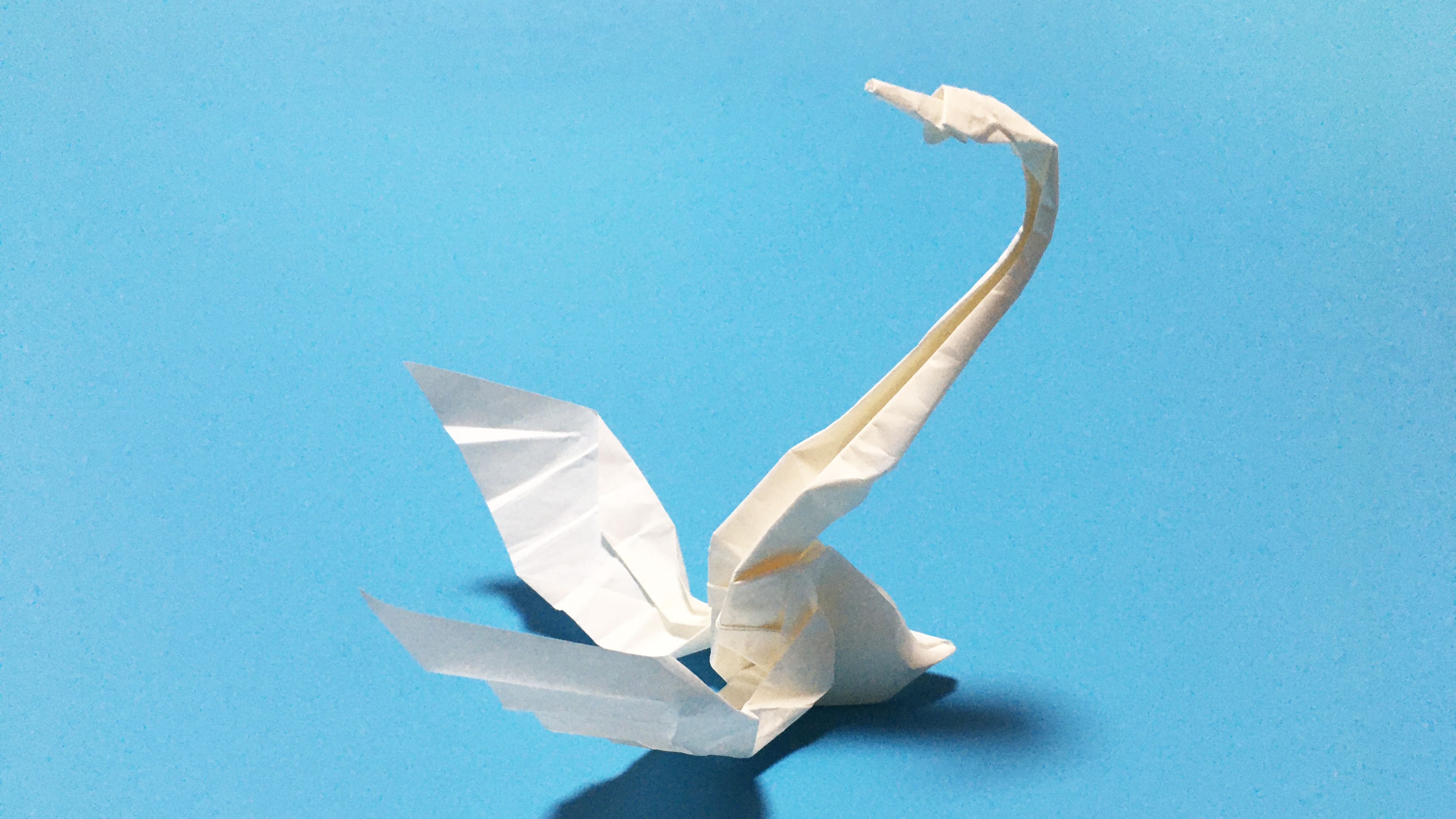 「折纸」展翅的天鹅