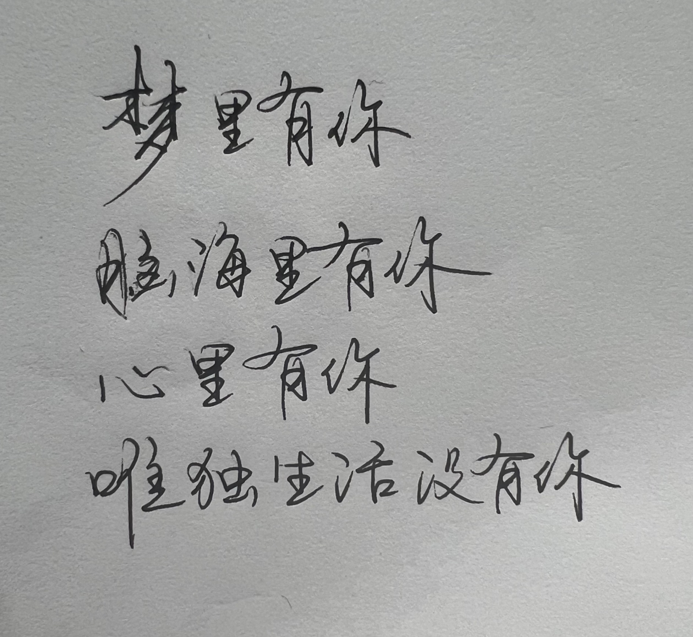 梦里有你,脑海里有你,心里有你,唯独生活没有你!