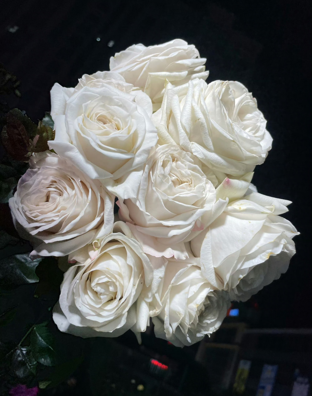 看到有人这样形容【银色衬裙】这款月季——复古报纸的做旧感.