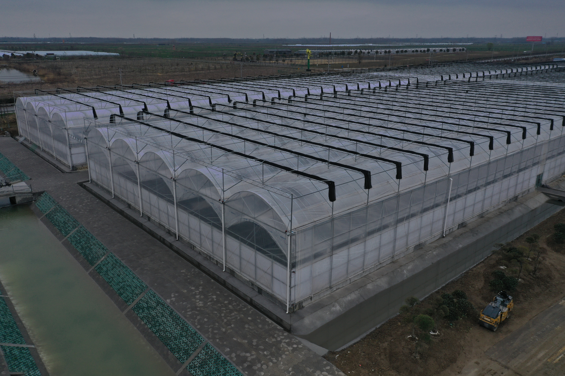 连体薄膜温室大棚,结构简单,安装方便,经济实用,棚内空间大,单位面积