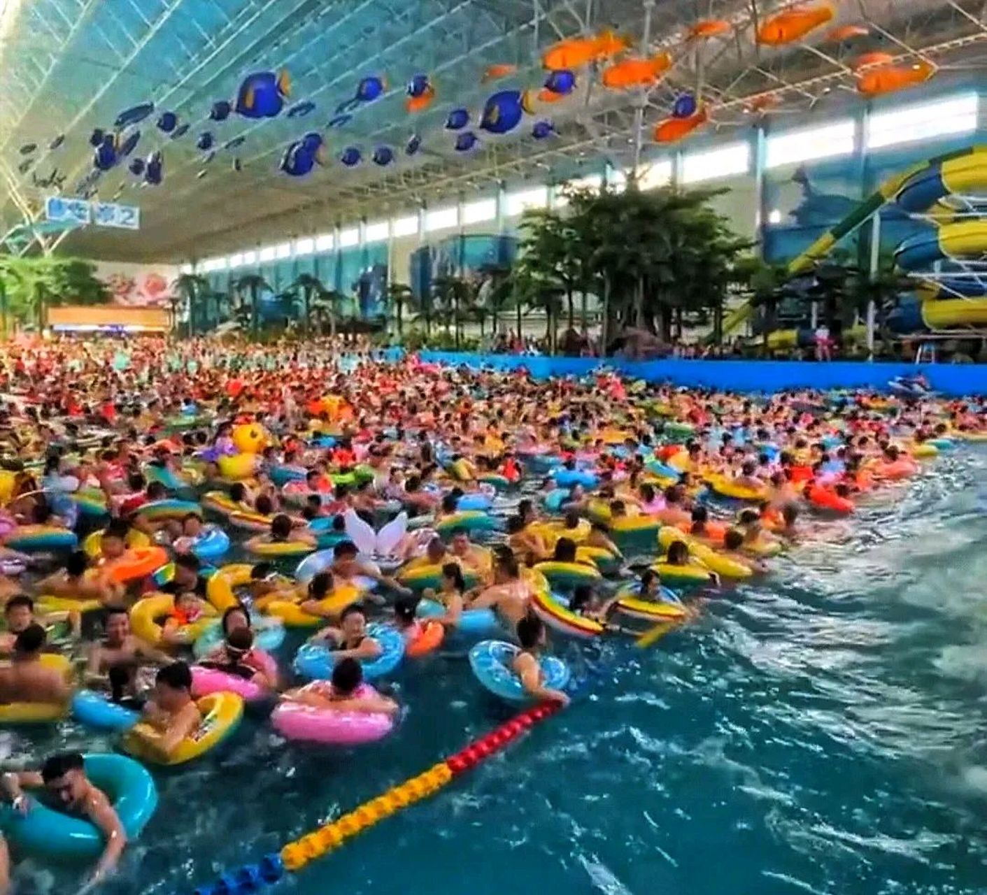 长春海之恋水上乐园是真火爆啊,这几天的冲浪区几乎天天人满为患