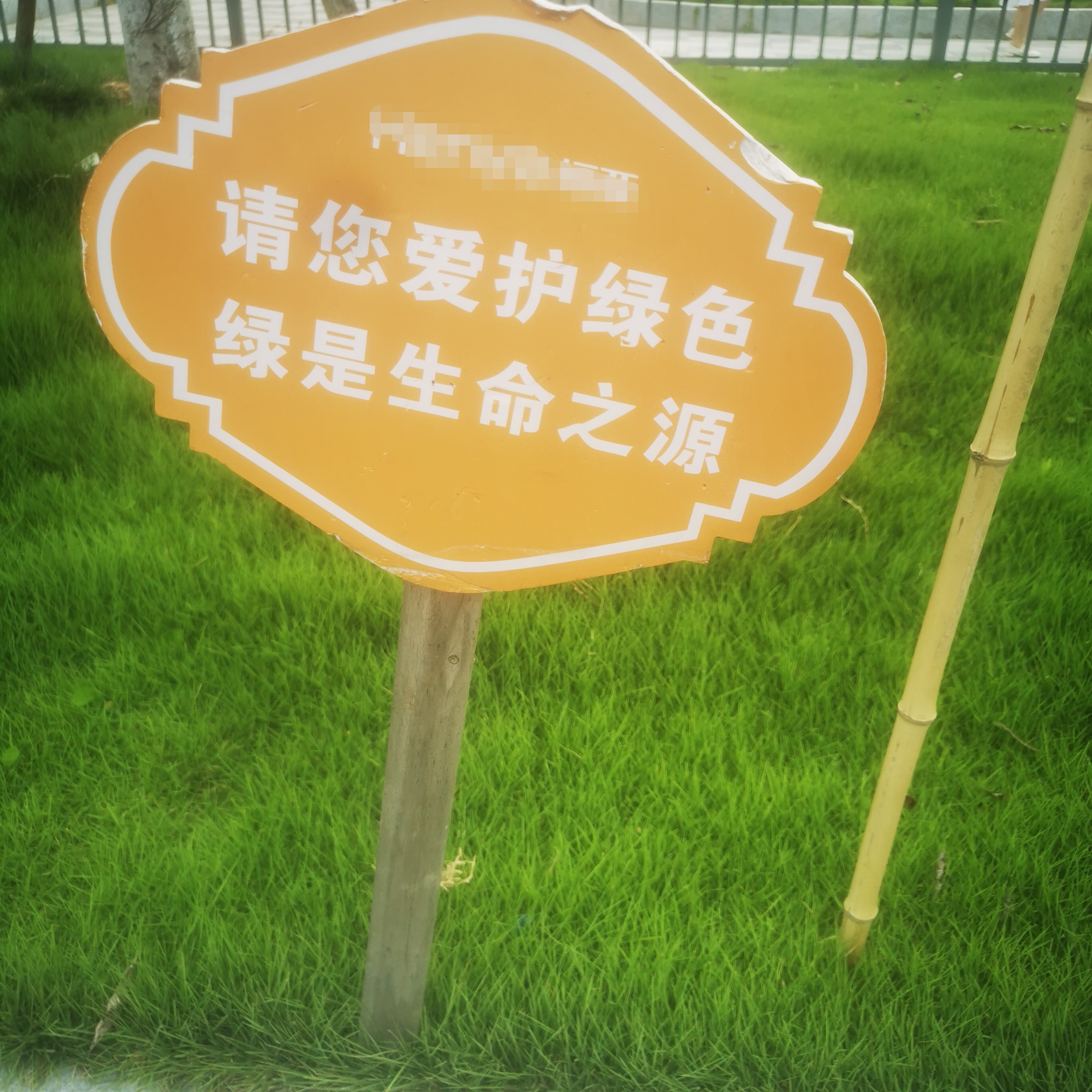 爱护花草,人人有责