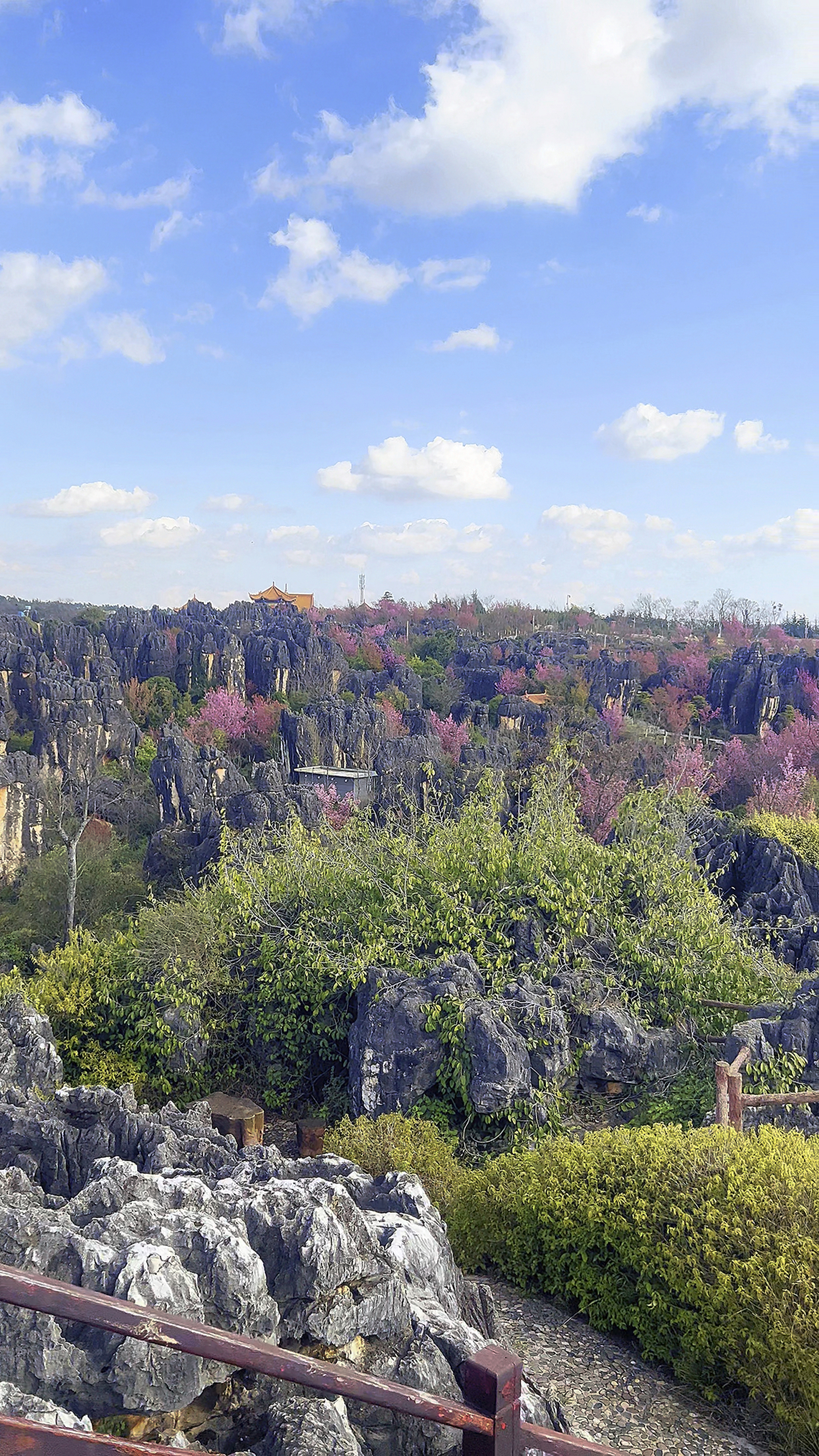 石林杏林大观园