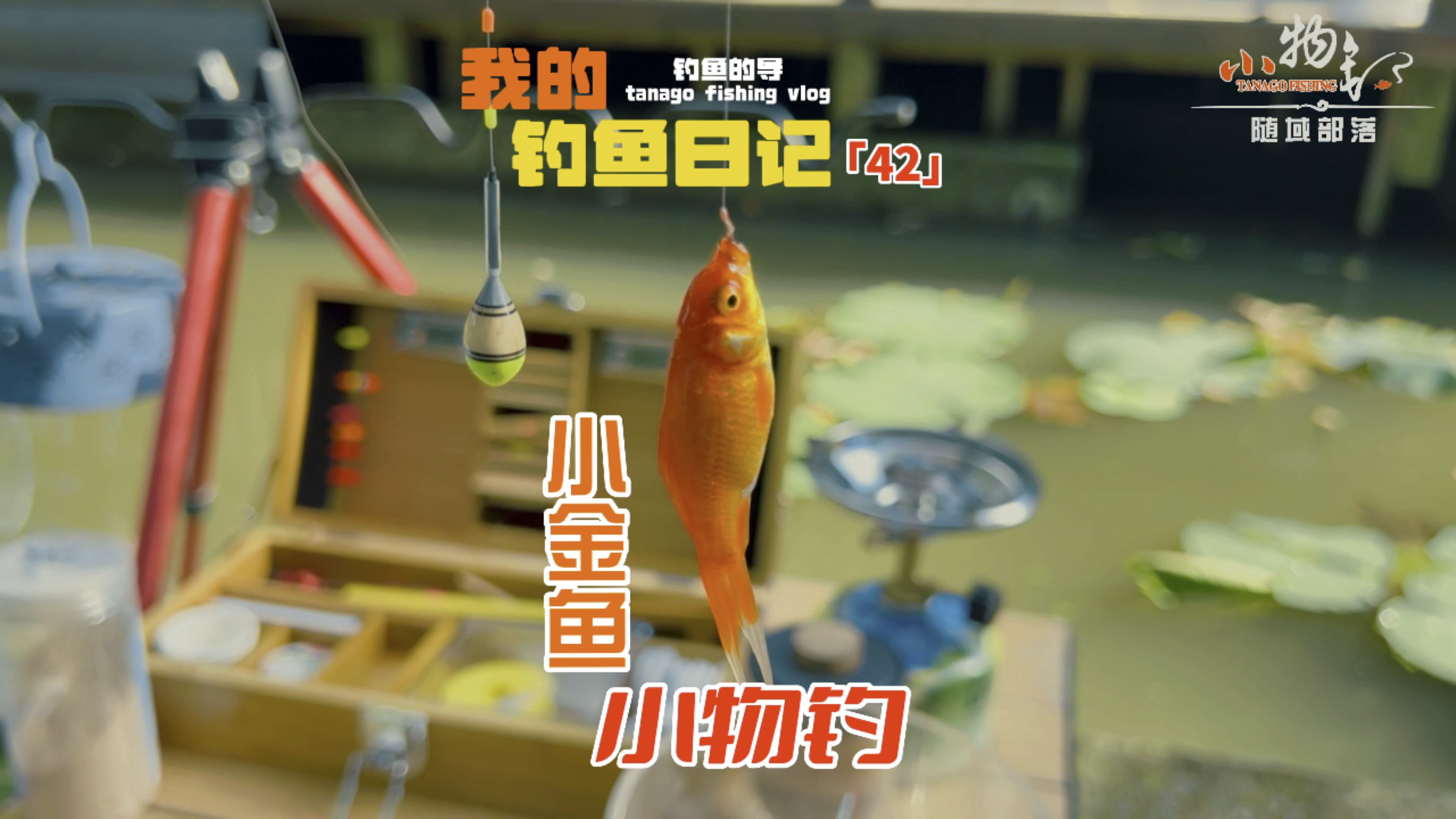 小物钓金鱼超级治愈