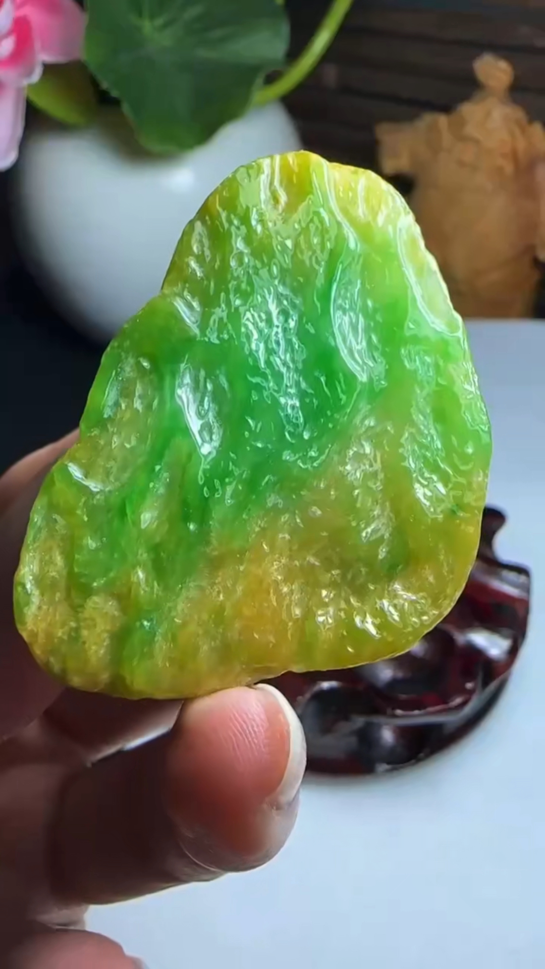 黄加绿随形,色泽鲜艳,水润感#翡翠