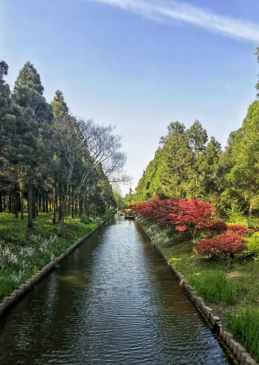 瀛洲崇明岛图片