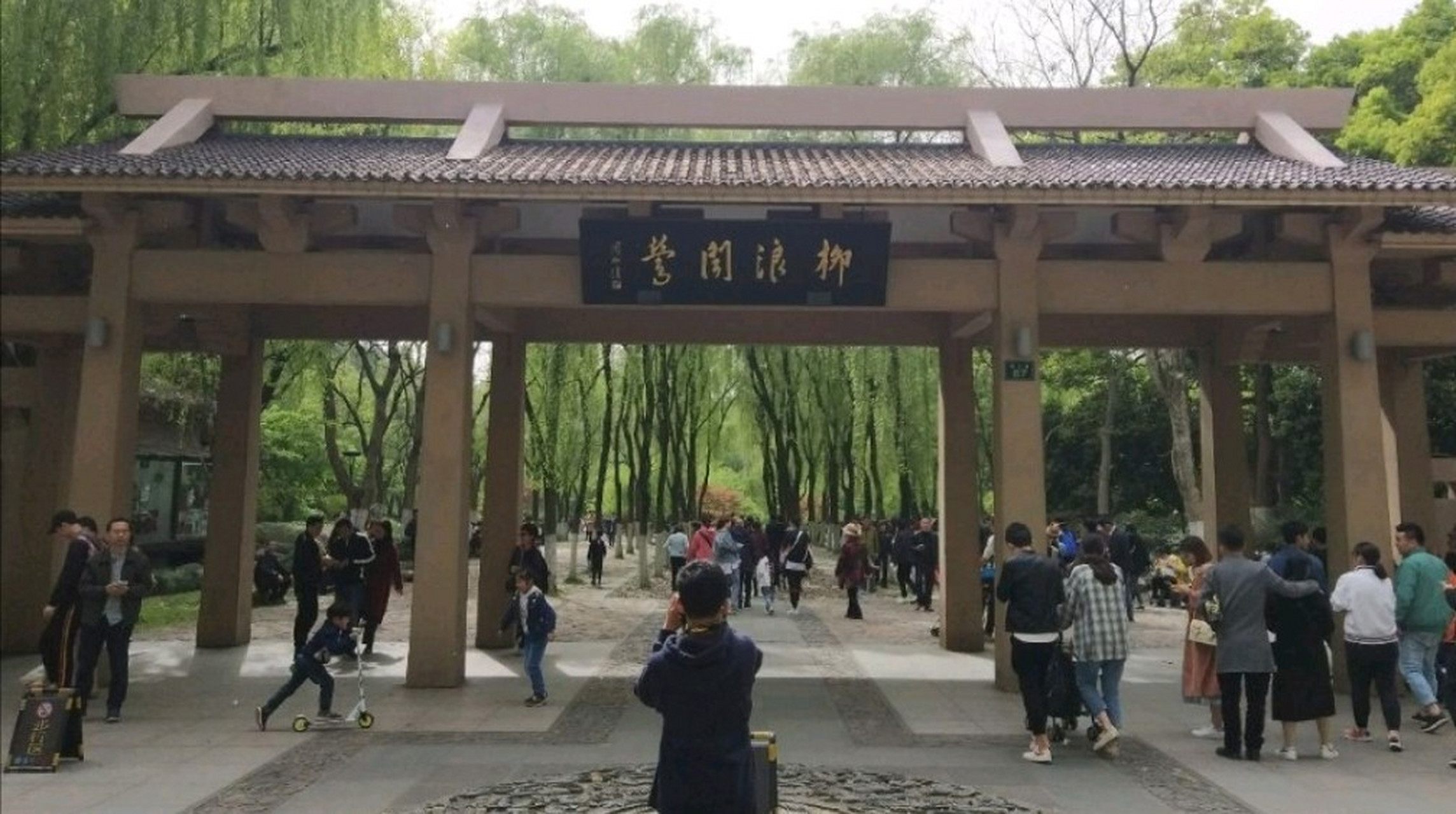 这片景区包括了柳浪闻莺公园,孔雀园,友谊园和柳浪桥等景点,是西湖边