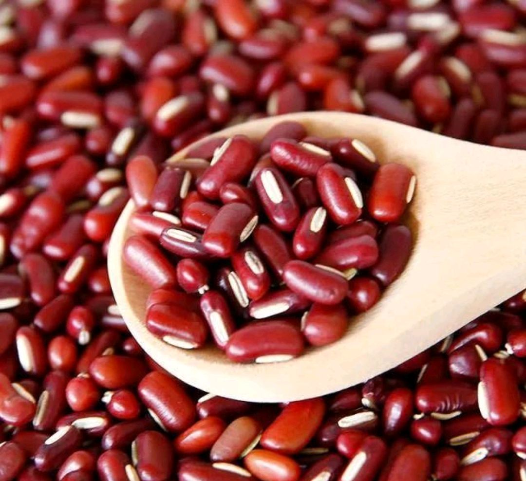 认识中药——赤小豆