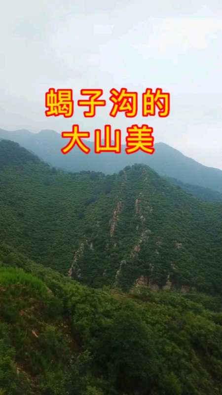 如果你累了,烦了,来临城蝎子沟的大山里走走,路上吹着大自然的风,把