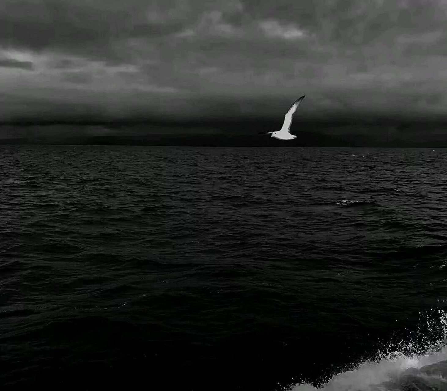 委屈和失望这种东西没必要和所有人说