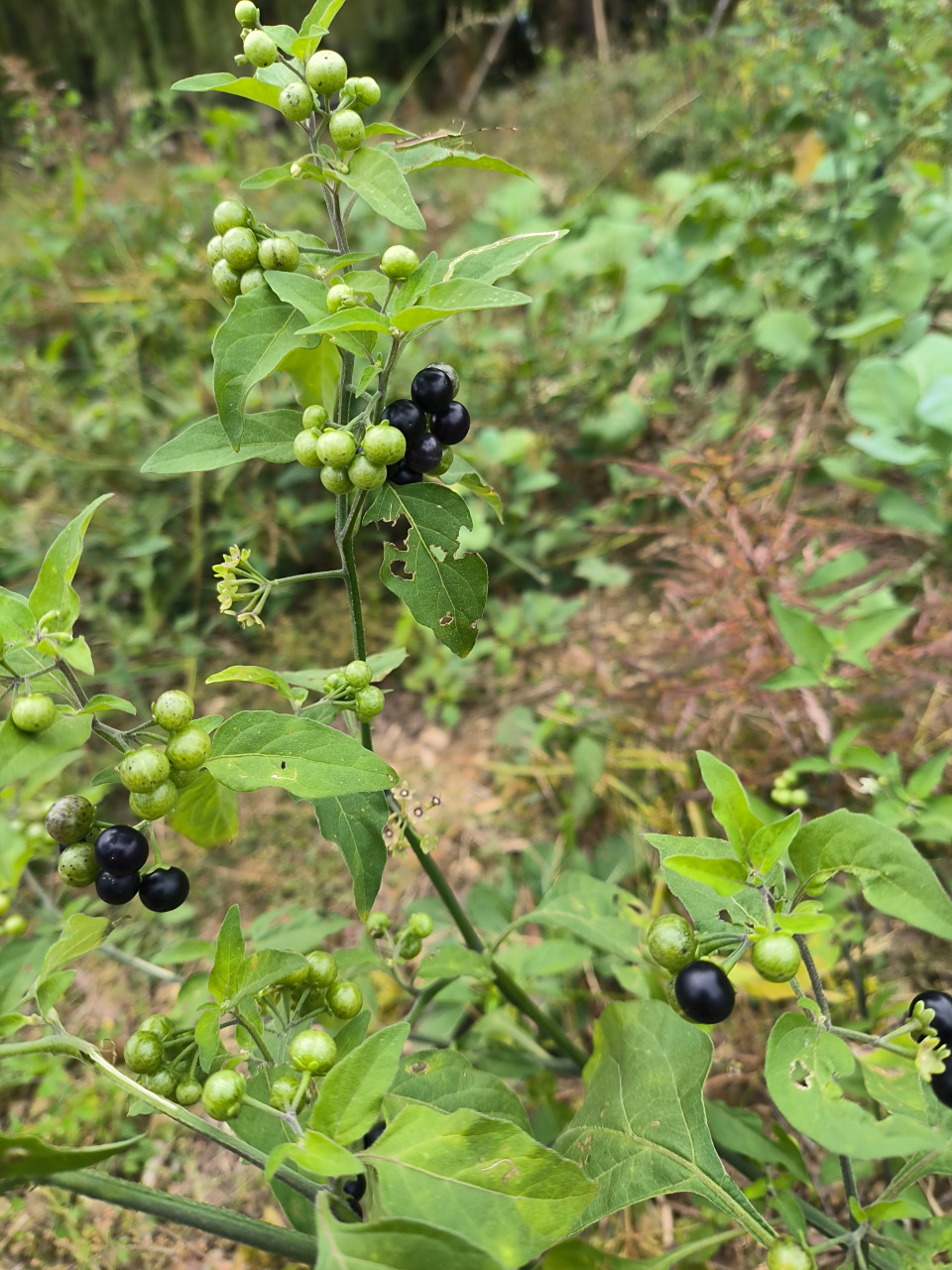 感觉时间过得好快,自己奔四了,很久没有看到这些