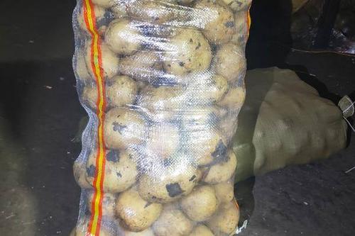 土豆一麻袋