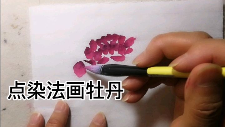 [图]只需“点点点”就能画出漂亮牡丹,初学“点染法”画牡丹视频记录