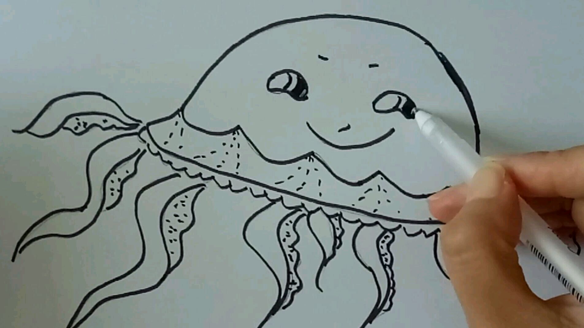 好看又好玩超简单快乐的八爪鱼