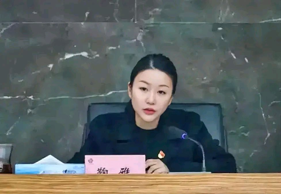 鞠雅的彪悍人生:高颜值女董事长鞠雅主动向纪检机关投案