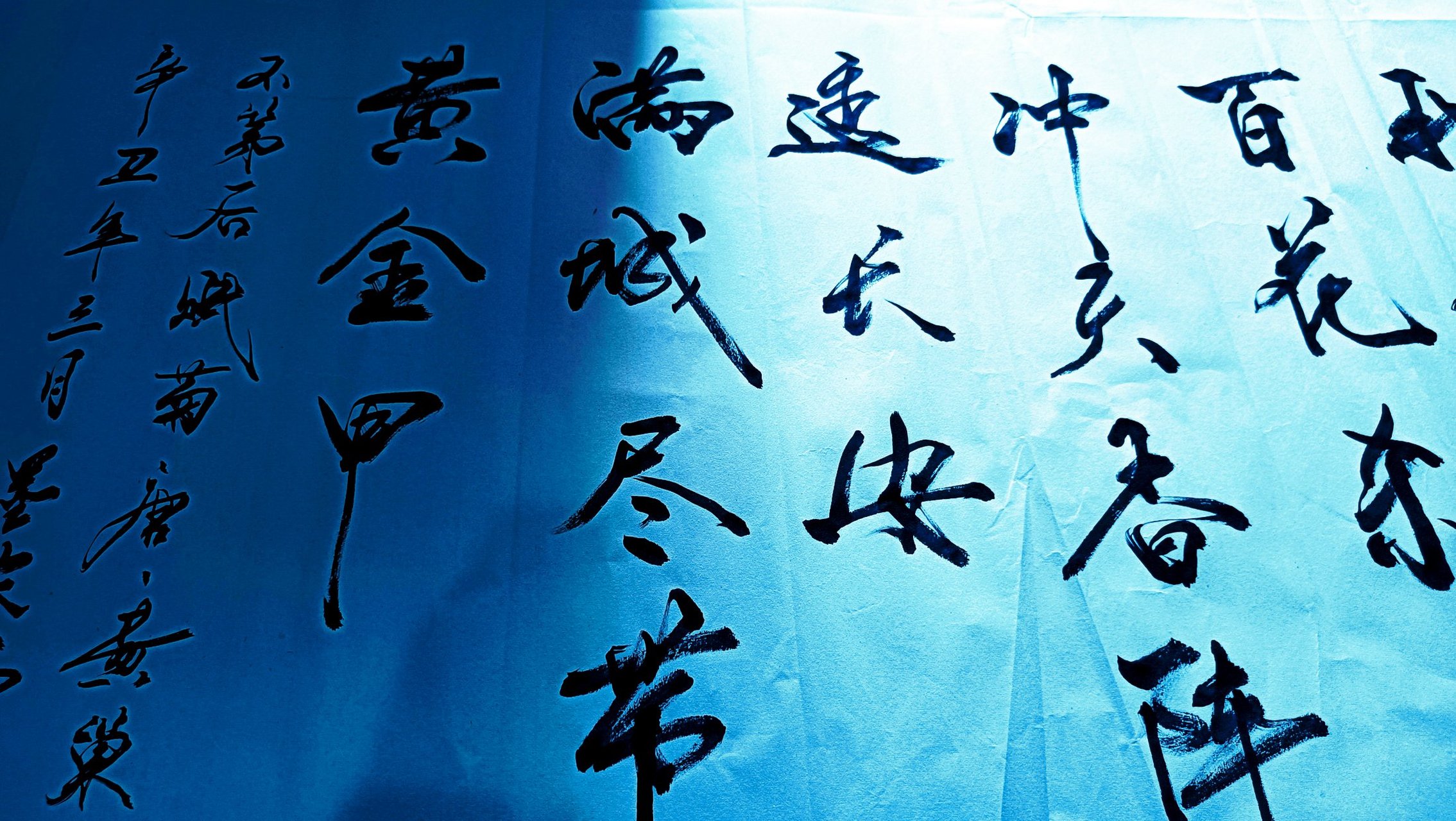 待到秋来九月八,我花开后百花杀.