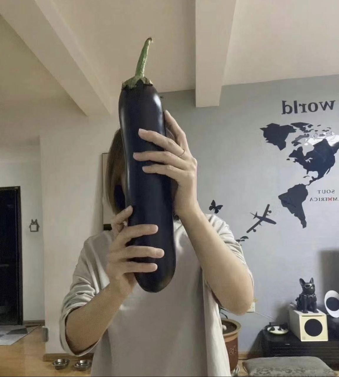 这么大的茄子,晚餐有着落了#趣图搞笑# #搞笑