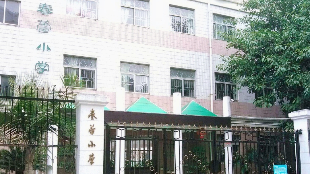 02百外春蕾小学(龙岗区) 03荔园小学(福田区) 说起荔园小学,在深圳