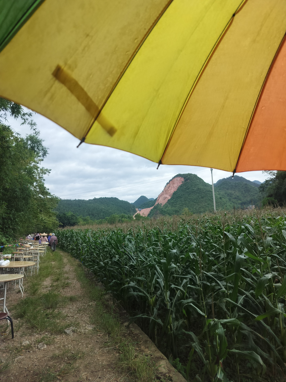 1,张新成和周雨彤的《大宋少年志2》预计8月播出.