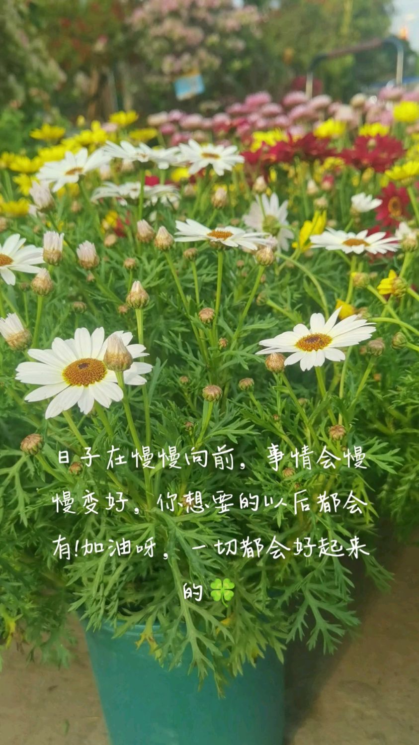 加油呀,一切都会好起来的!-度小视