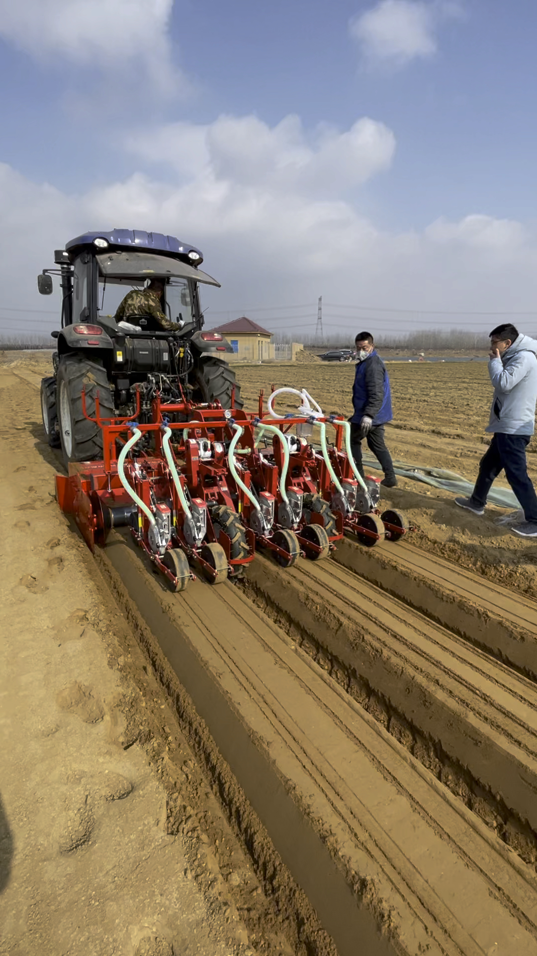 大顺精量播种机,让胡萝卜,土地更和谐.