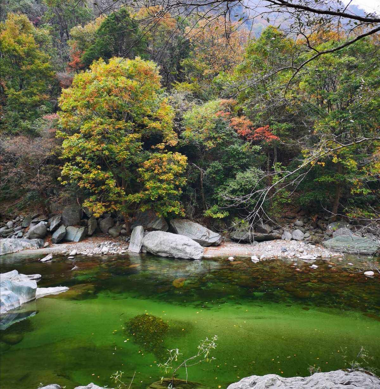 广元唐家河风景区图片