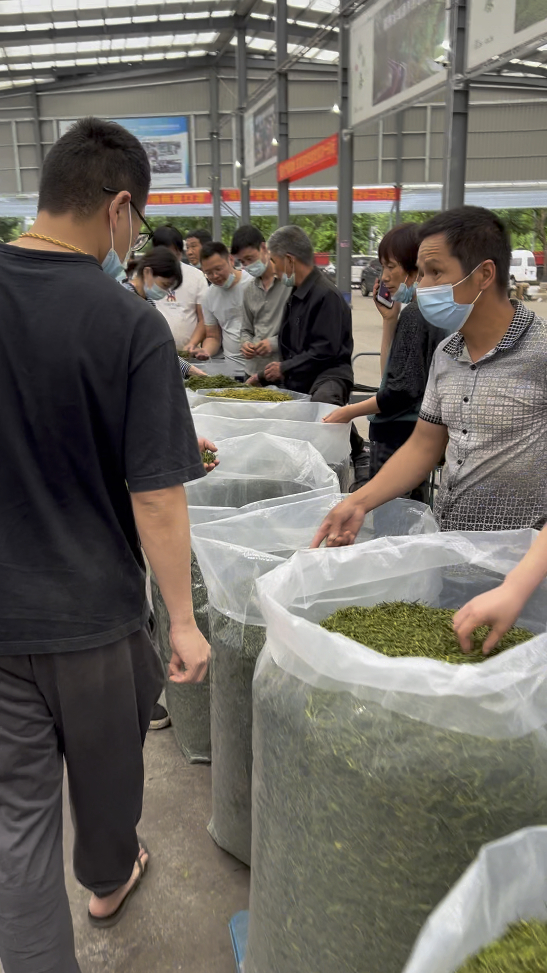 全国最大的绿茶批发市场来了这里各种茶叶随你挑