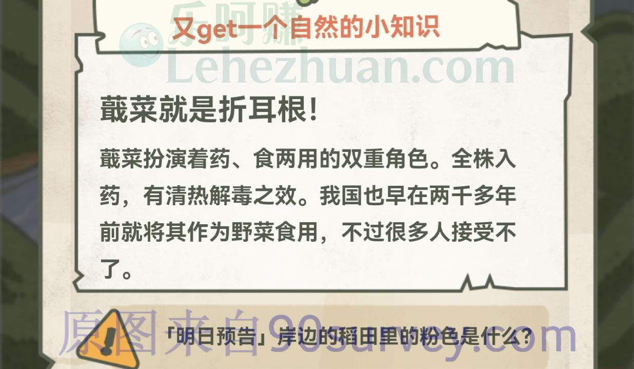 最难吃TOP3蔬菜是？