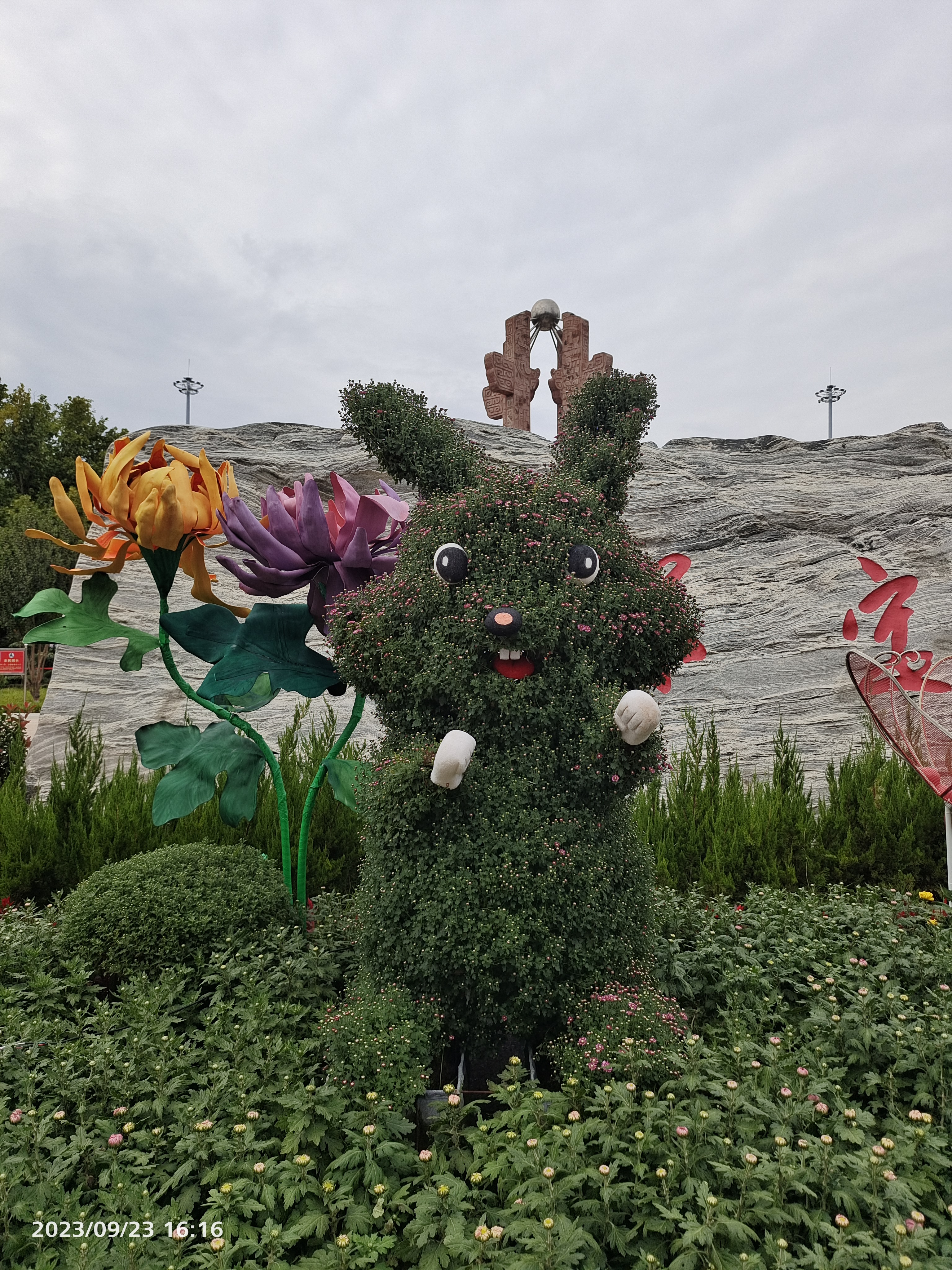 保定人民广场正在举行第24届菊花展各种菊花竞相开放适型也是多样