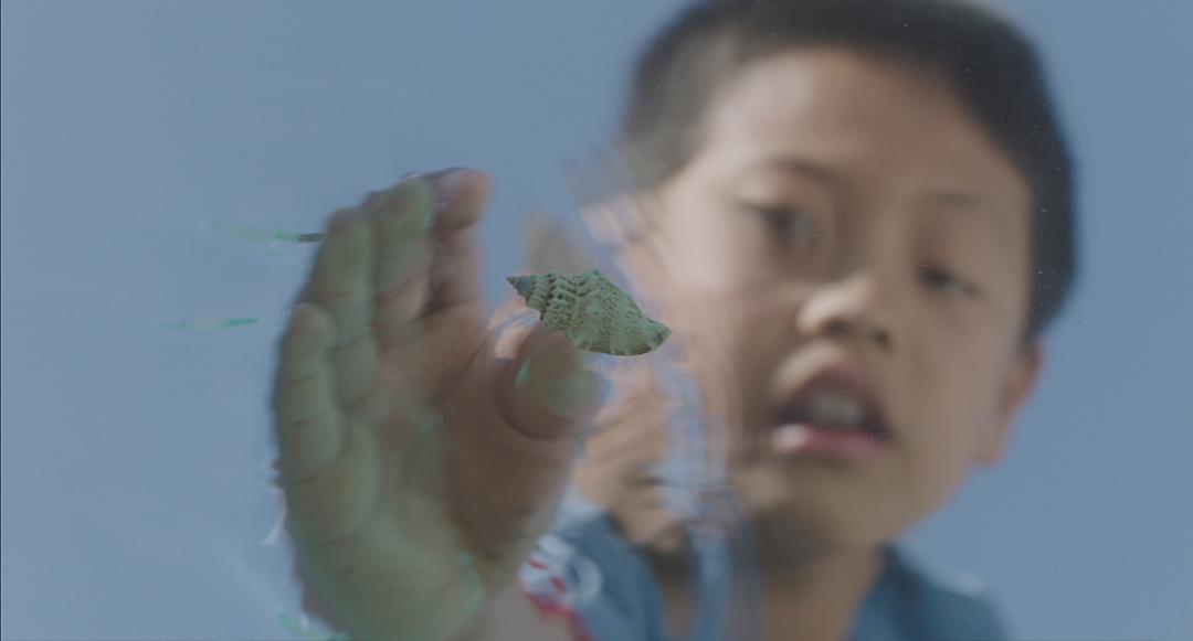 《百川东到海》的全部图片剧照