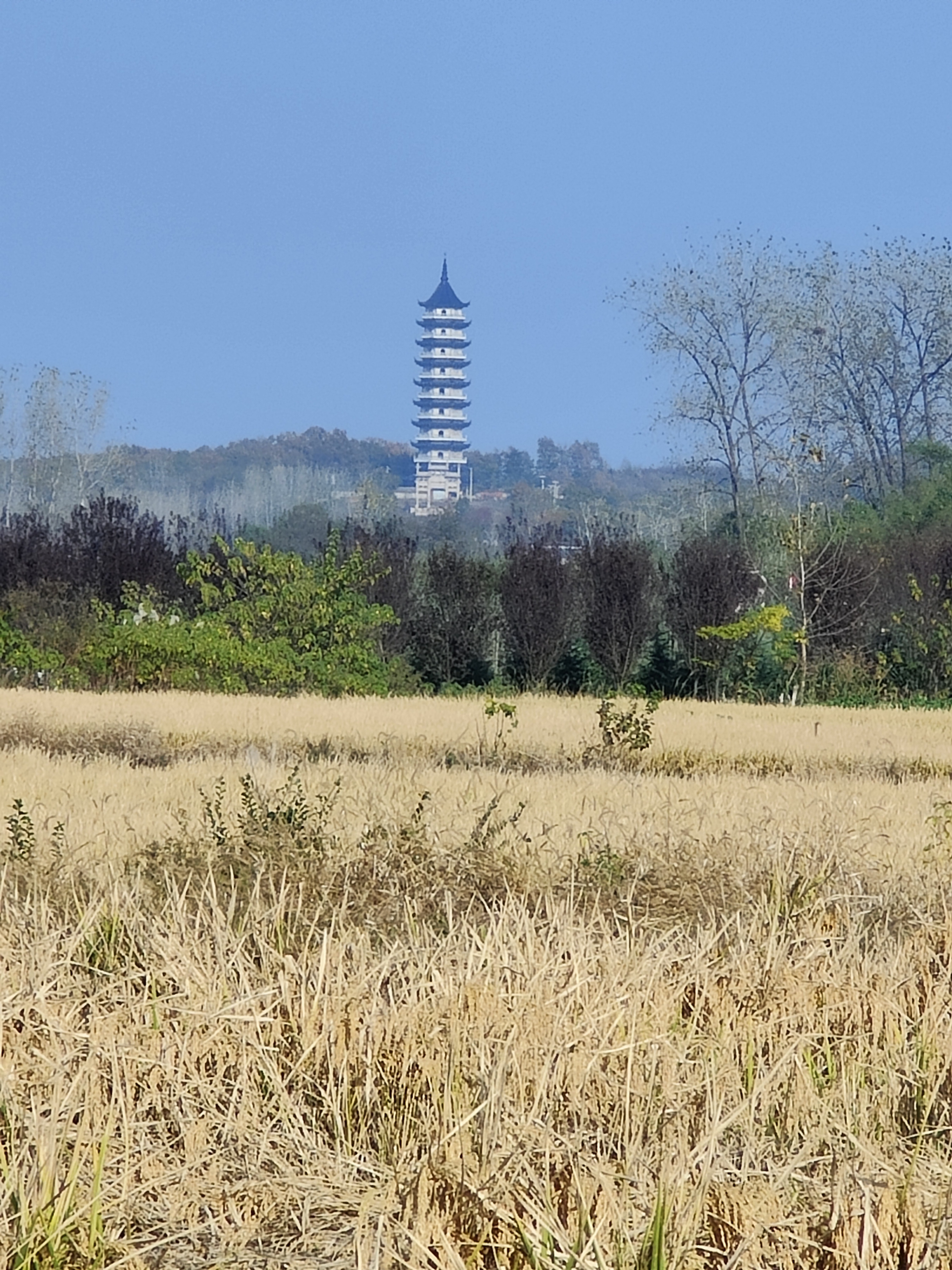 六合竹鎮楓彩漫城周邊的美景