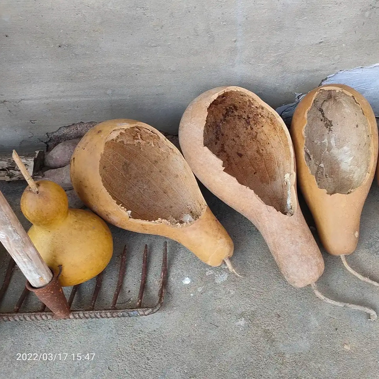 依葫芦画瓢,原来是这样!