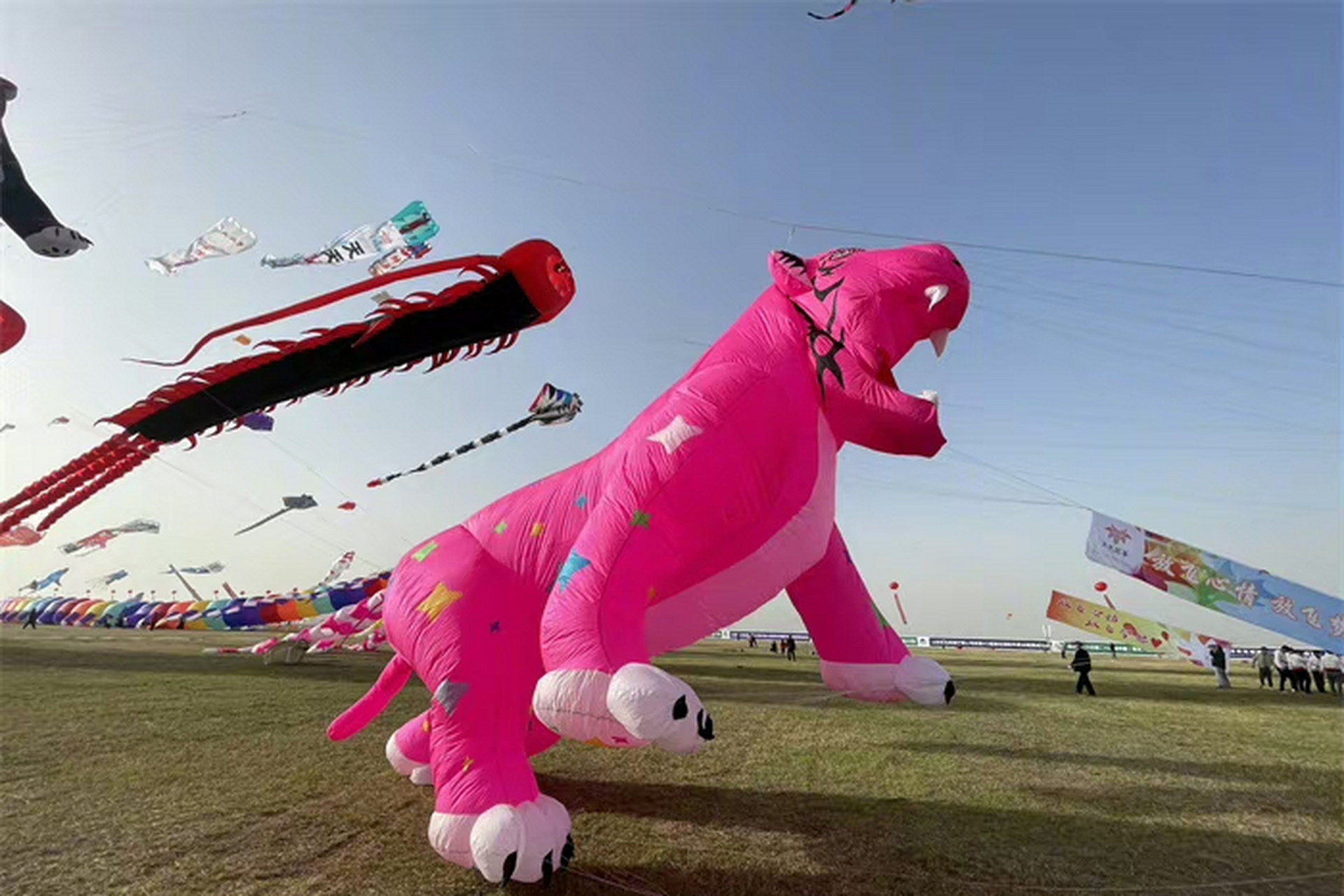 第40届潍坊国际风筝会开幕,潍坊风筝开始整活了.