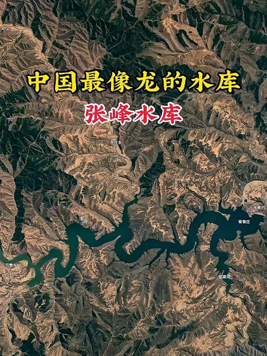 张峰水库鱼类图片