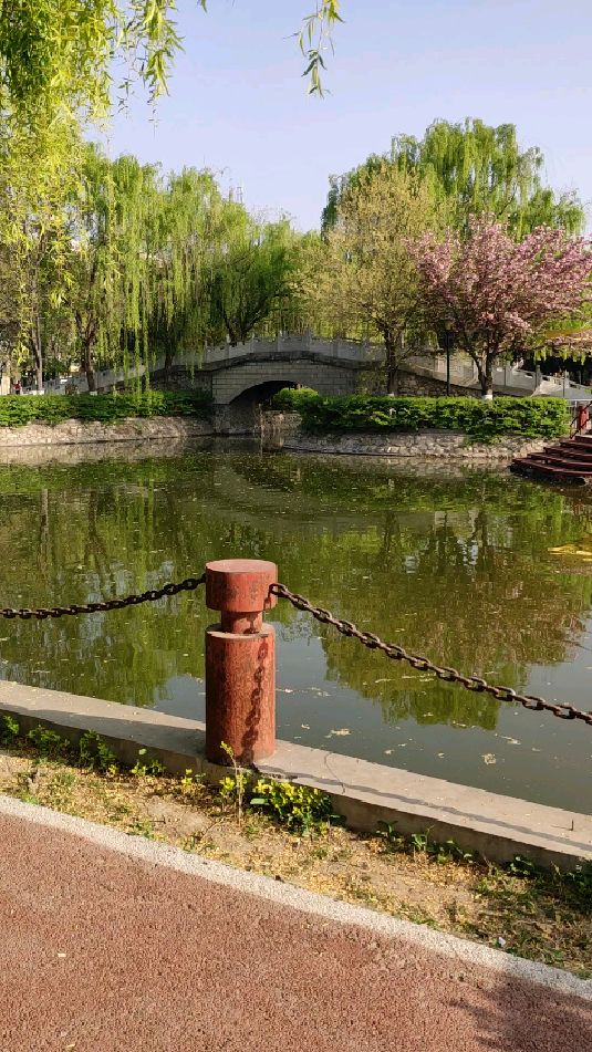 高陵水景公园今天没想到的故事