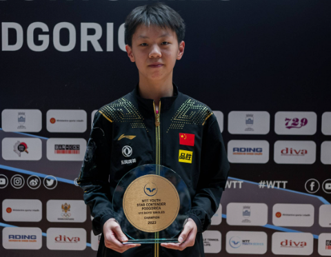 孙杨成为中国乒乓球男队新王牌,为何年轻球员的崛起如此重要?