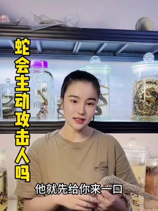 蛇会主动攻击人类吗