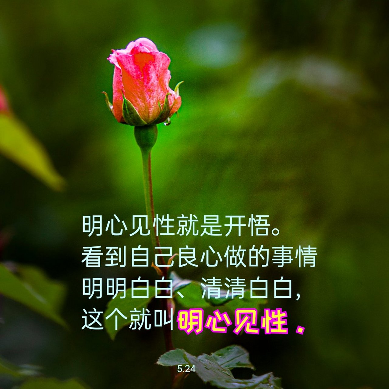 看到自己良心做的事情 明明白白,清清白白, 这个就叫明心见性. 5.24