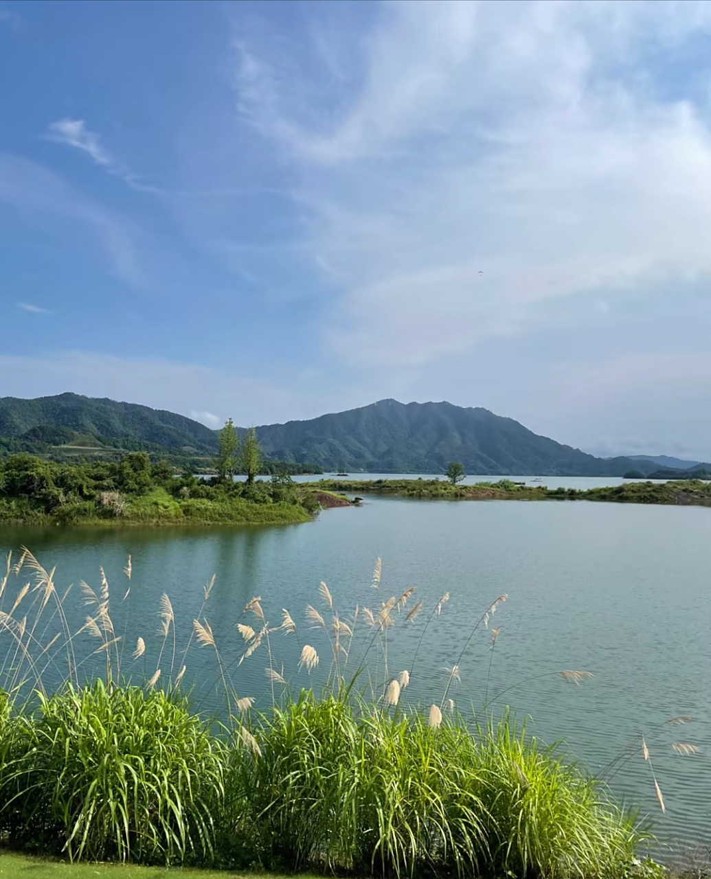 最近又有河南人说高考全国统一考试,全国统一录取分数线,愿赌服输.