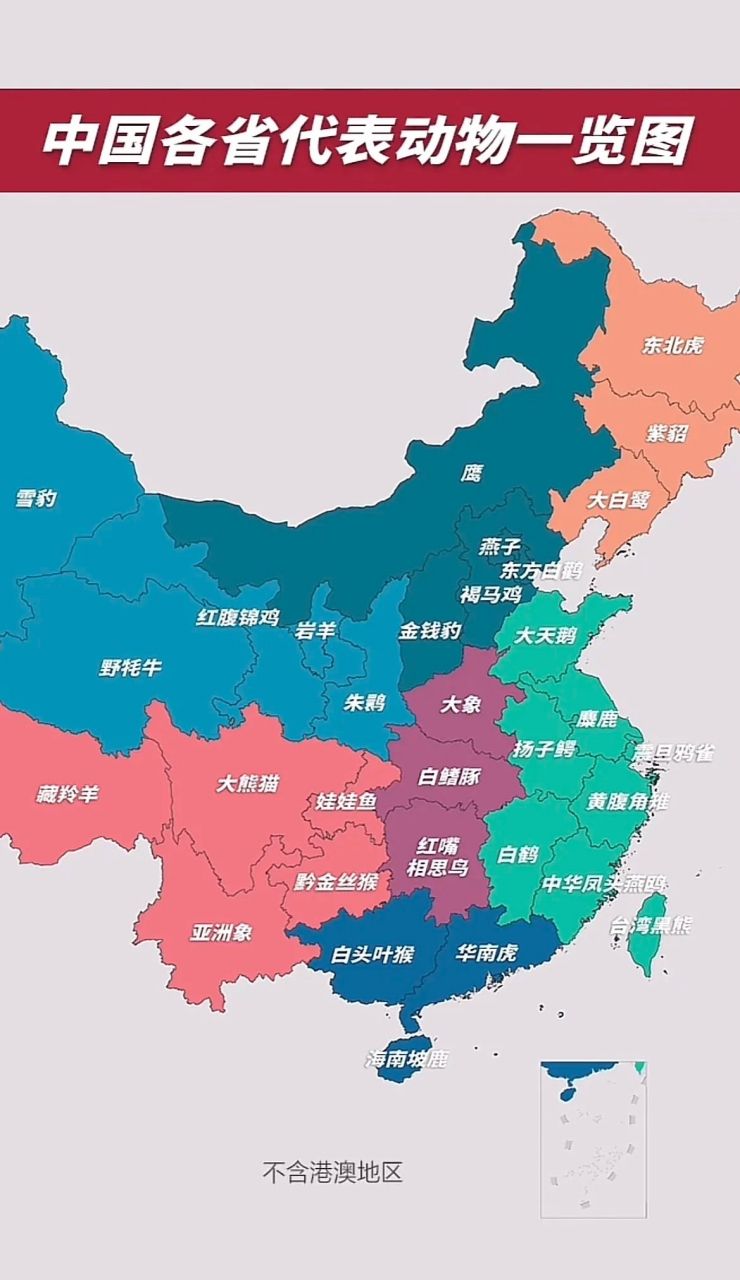 中国各省代表动物一览图,你都认识吗?