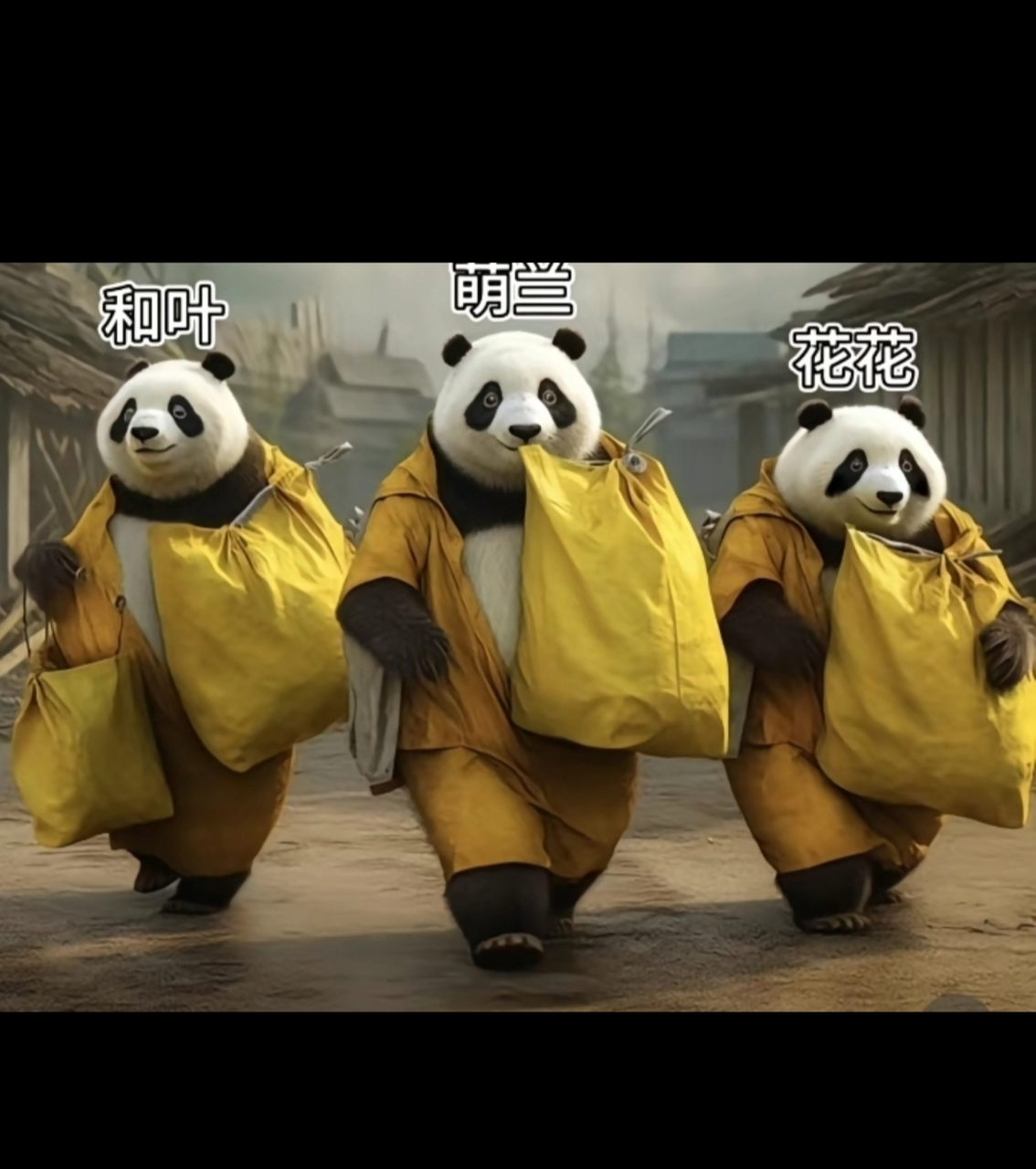 因为爱宝生二胎网友们都把随礼记在了萌兰,花花,和