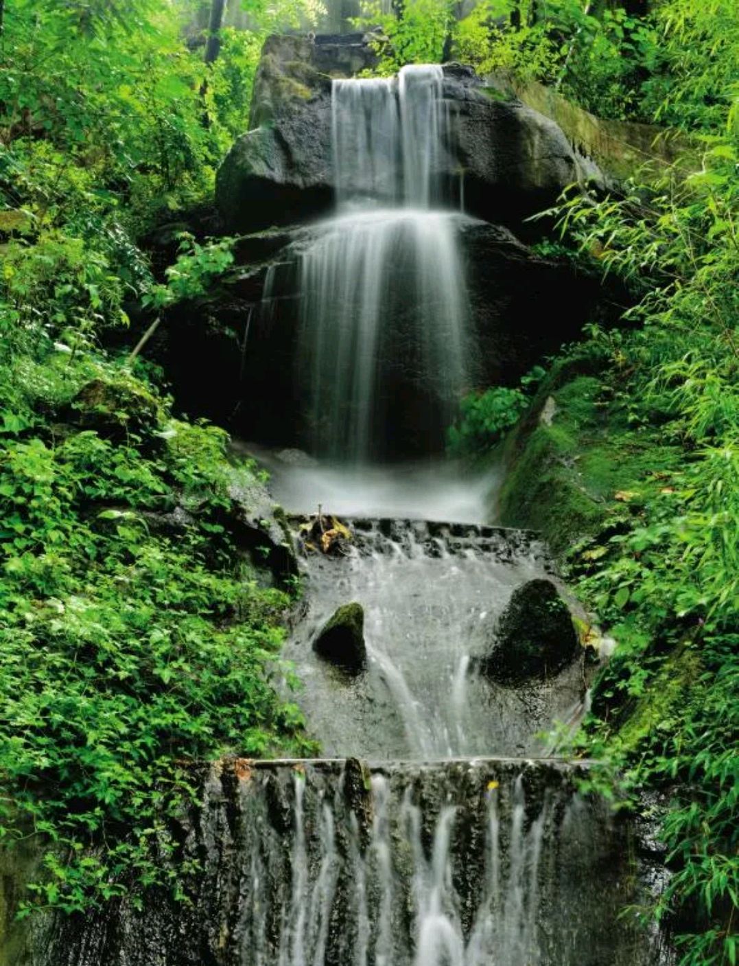 河南西峡老界岭风景区:风景如画人间仙境