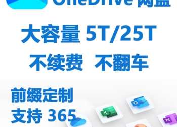正品OneDrive5T Office365微软office API OD 微软网盘个人网盘