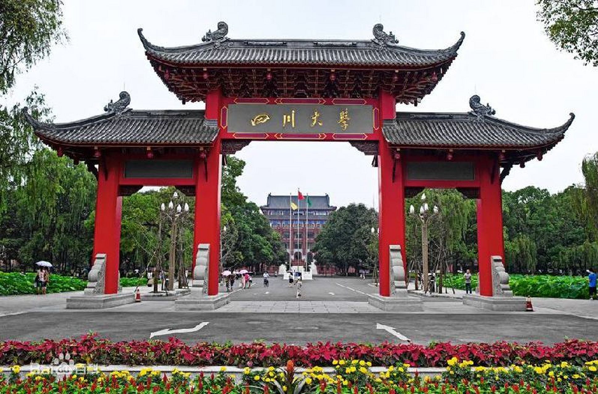 张薇不用担心四川大学开除她了,因为河南大学已经启动对她保研的调查!